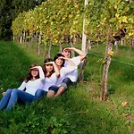 Weingut Und Gaestezimmer Perner 4* Ehrenhausen