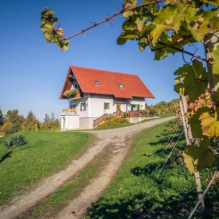 Weingut Und Gaestezimmer Perner Ehrenhausen