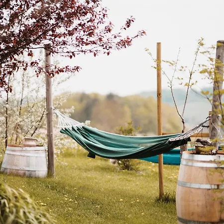 Weingut Und Gaestezimmer Perner 4* إيهرينهاوزين