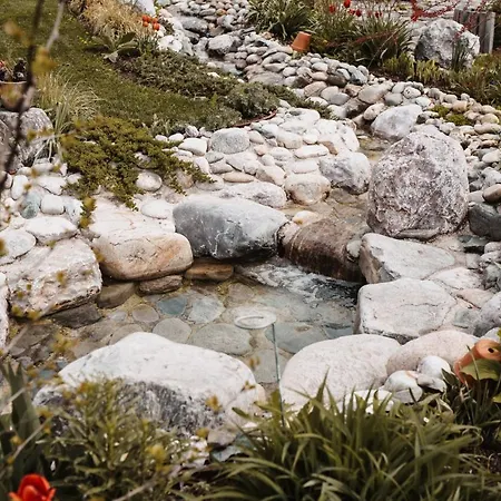 Weingut Und Gaestezimmer Perner Couette-café