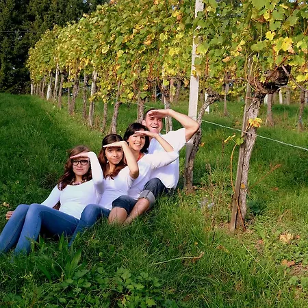 Weingut Und Gaestezimmer Perner 4* Ehrenhausen