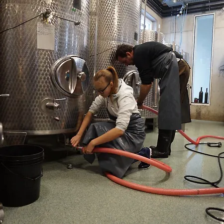 Weingut Und Gaestezimmer Perner Couette-café Ehrenhausen