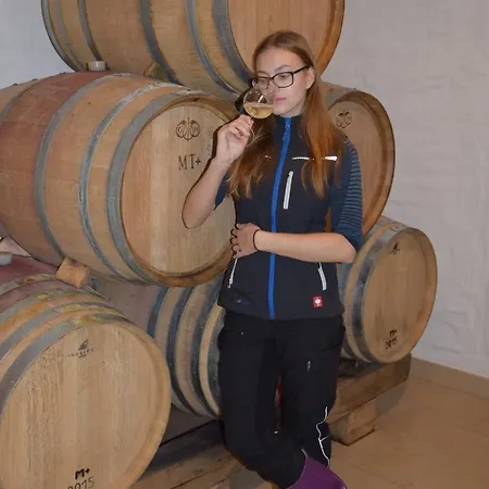 Weingut Und Gaestezimmer Perner Couette-café