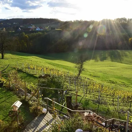 Weingut Und Gaestezimmer Perner 4* Ehrenhausen