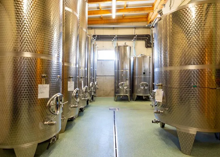 فندق مبيت وإفطار Weingut Und Gaestezimmer Perner