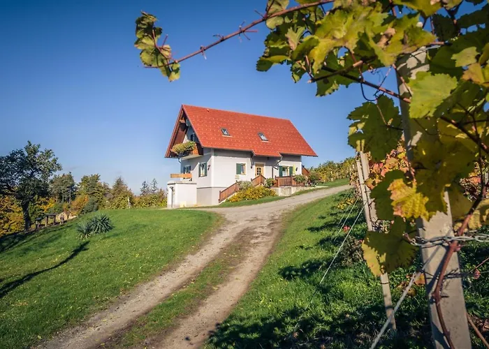 Weingut Und Gaestezimmer Perner إيهرينهاوزين