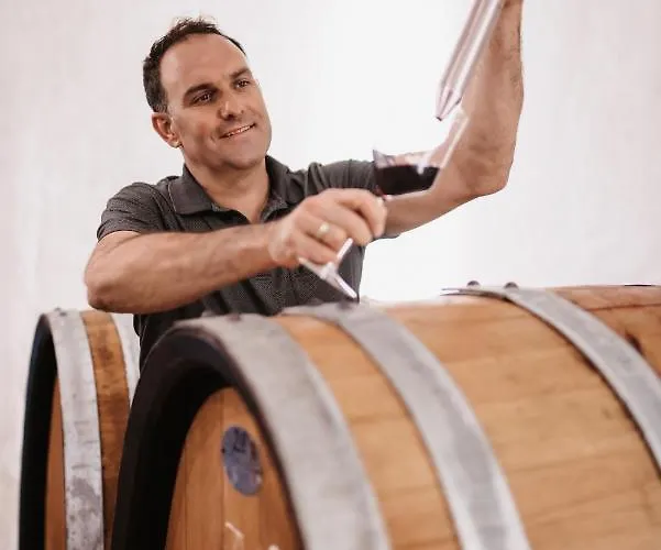 Weingut Und Gaestezimmer Perner إيهرينهاوزين