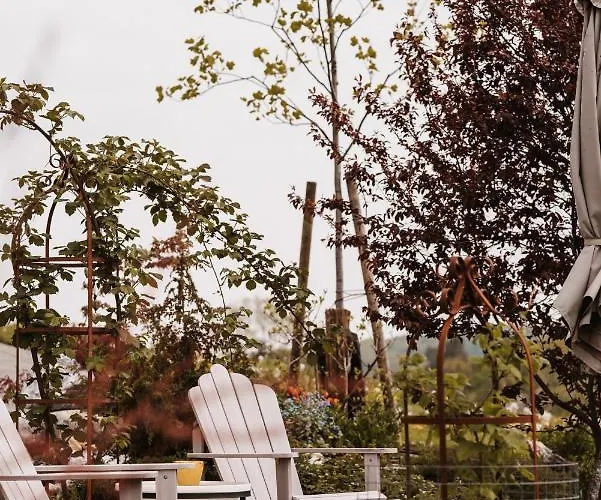 فندق مبيت وإفطار Weingut Und Gaestezimmer Perner إيهرينهاوزين