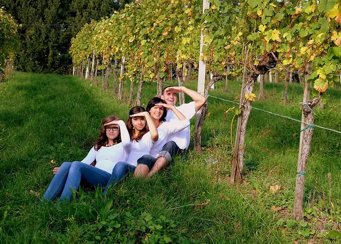 Weingut Und Gaestezimmer Perner 4* إيهرينهاوزين