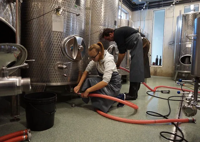 Weingut Und Gaestezimmer Perner فندق مبيت وإفطار إيهرينهاوزين