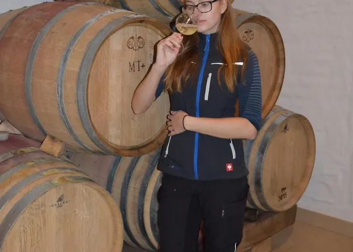 Weingut Und Gaestezimmer Perner فندق مبيت وإفطار