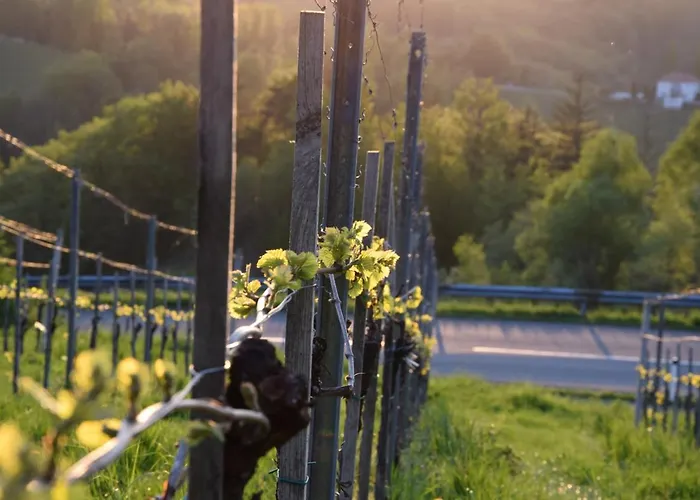 Weingut Und Gaestezimmer Perner 4* إيهرينهاوزين